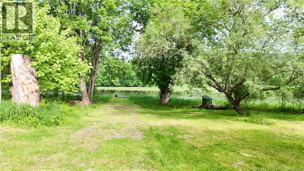 55 Randall Drive Property Photo 8