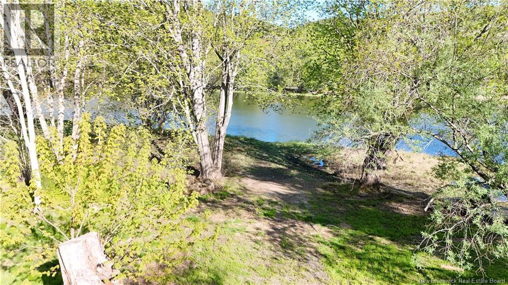 55 Randall Drive Property Photo 14