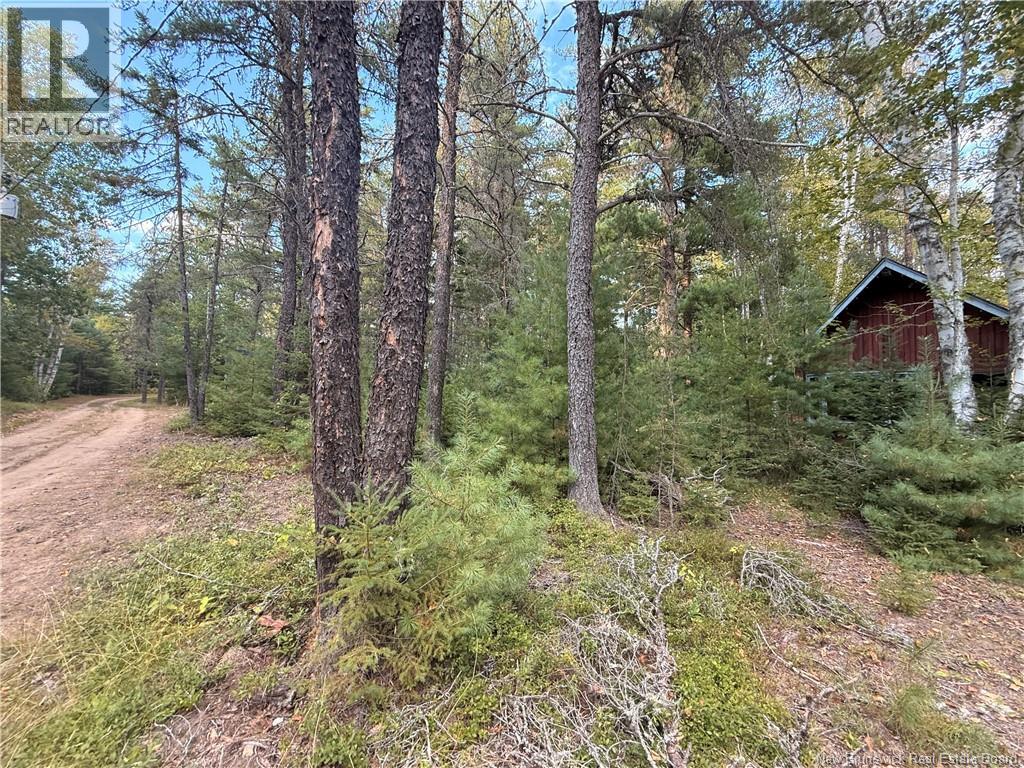 Camp L'eglise Road Property Photo 4