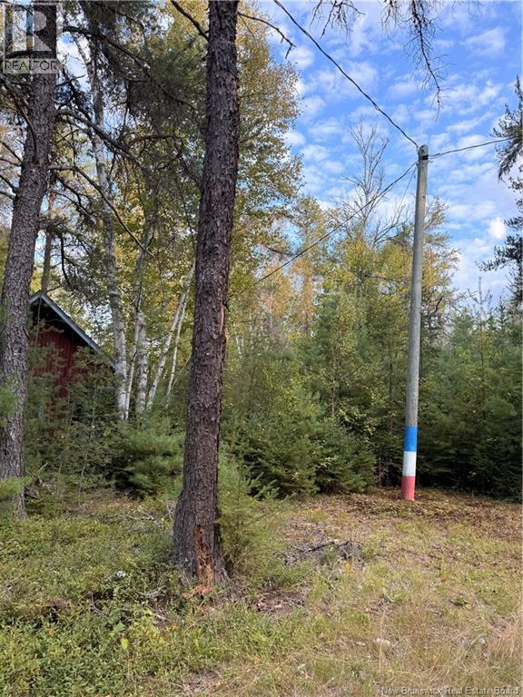 Camp L'eglise Road Property Photo 5