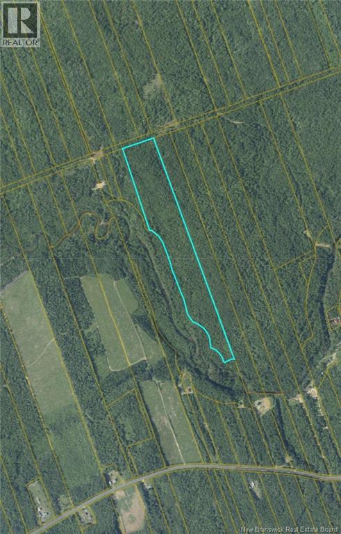 21.42 Acres Rte 355