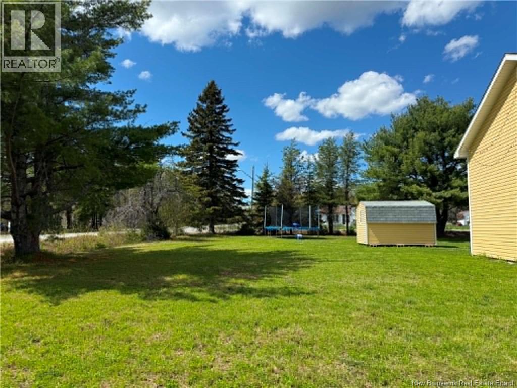 5 Belding Street Property Photo 24