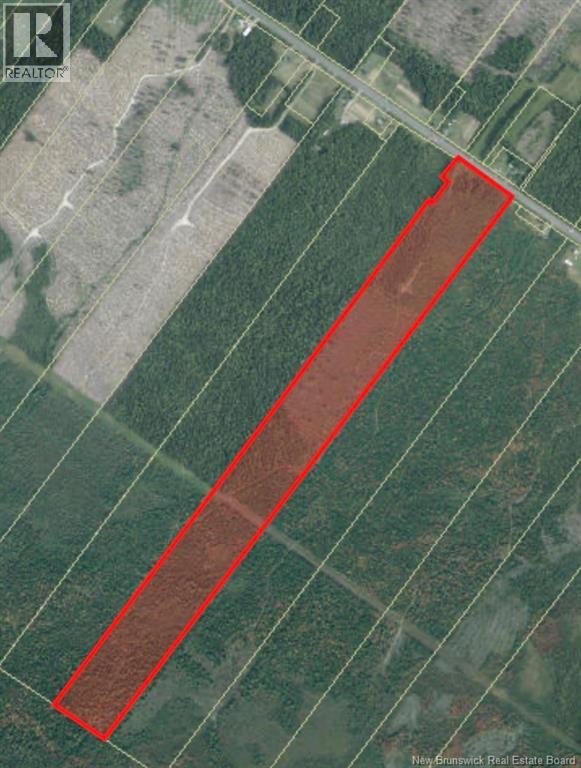 Vacant Lot Route 11 Property Photo 1