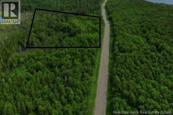 321 Fundy Drive Property Photo 4