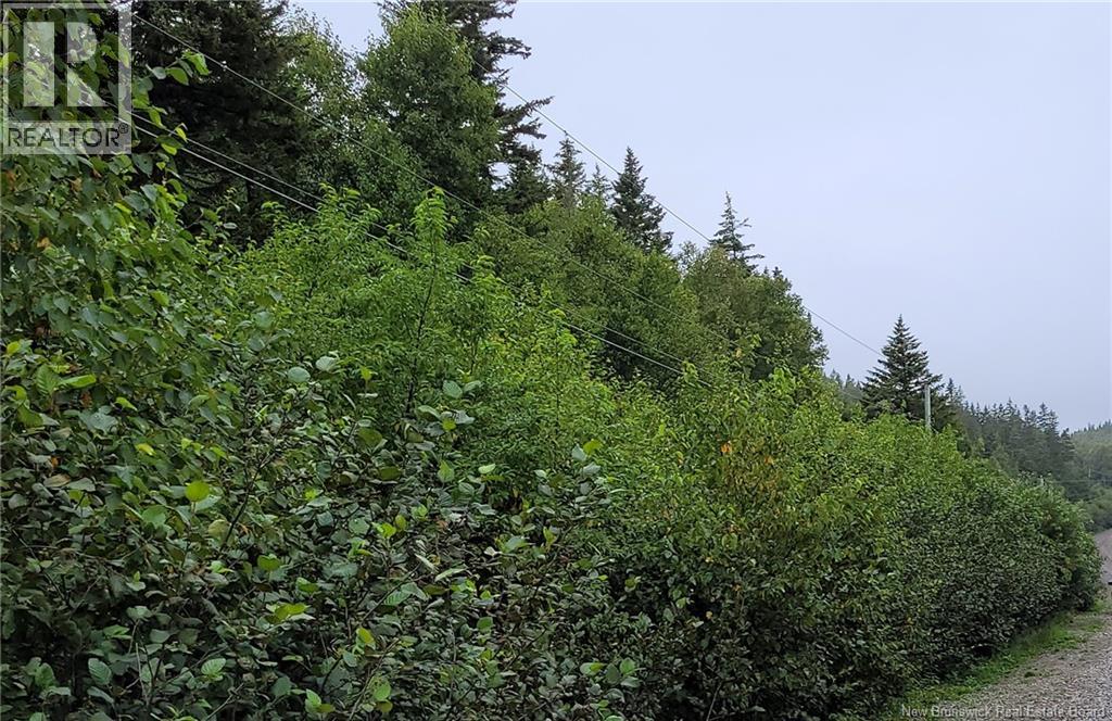 341 Fundy Drive Property Photo 3