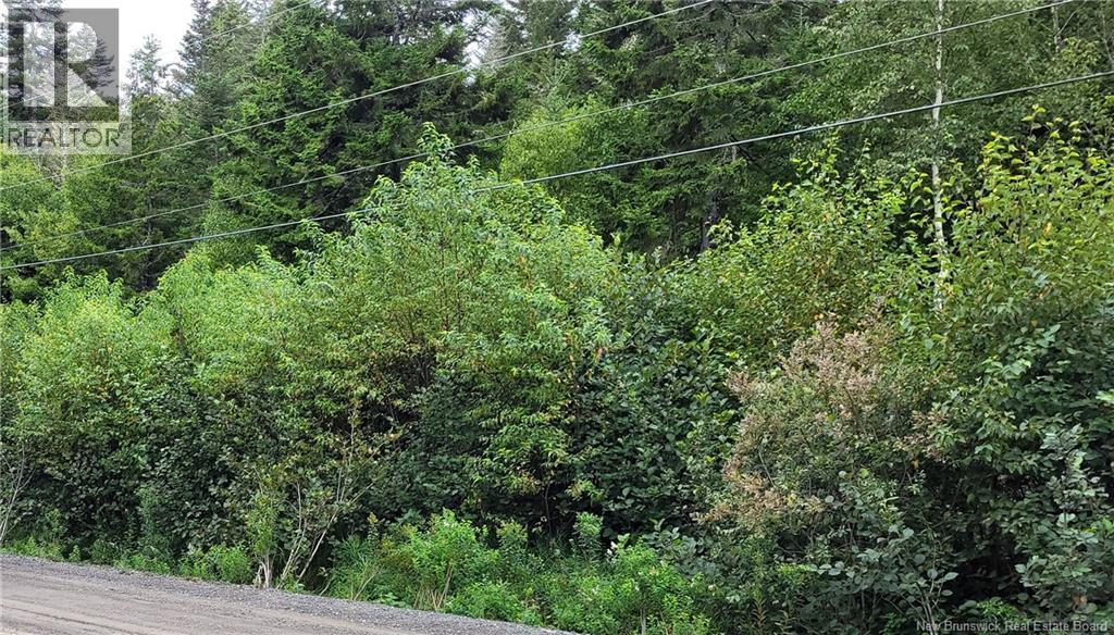 341 Fundy Drive Property Photo 4