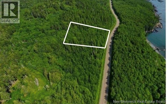 341 Fundy Drive Property Photo 7