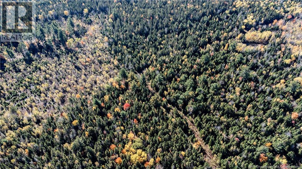 Lot Saint Charles N Property Photo 15