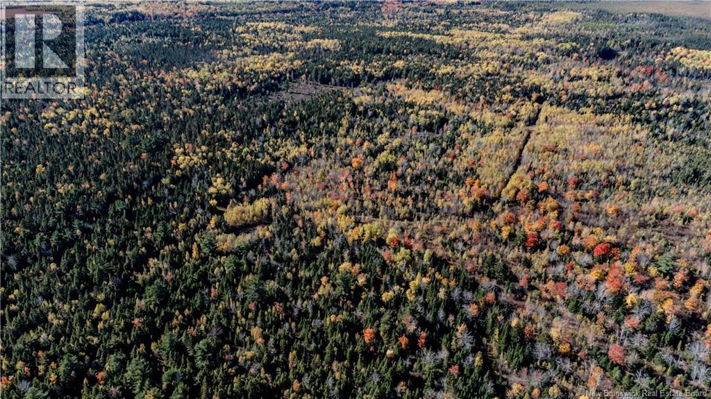 Lot Saint Charles N Property Photo 18