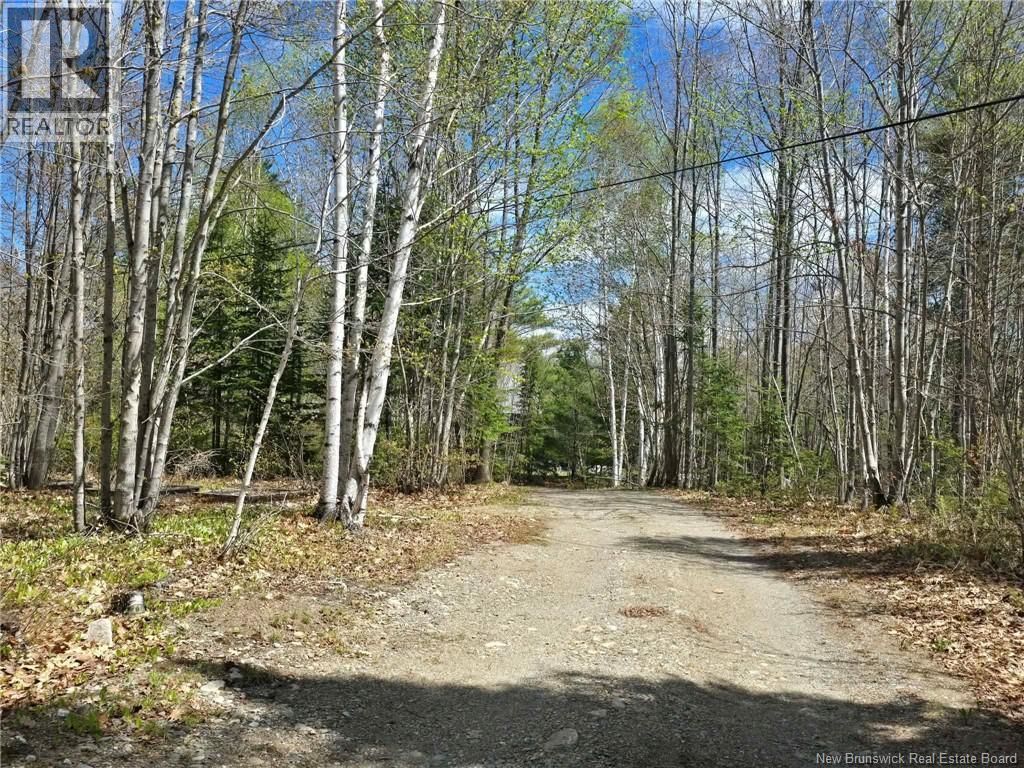 52 Shamrock Valley Property Photo 47