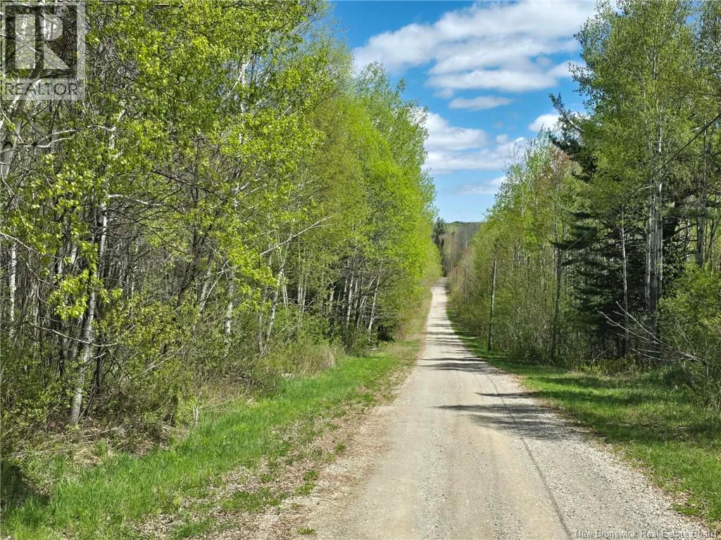 52 Shamrock Valley Property Photo 48