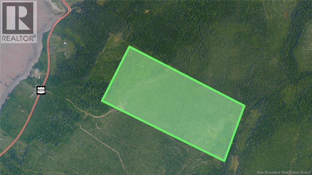 0 Route 935 Property Photo 1