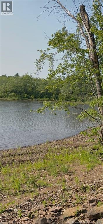 19 Popal Grove Lane Property Photo 10