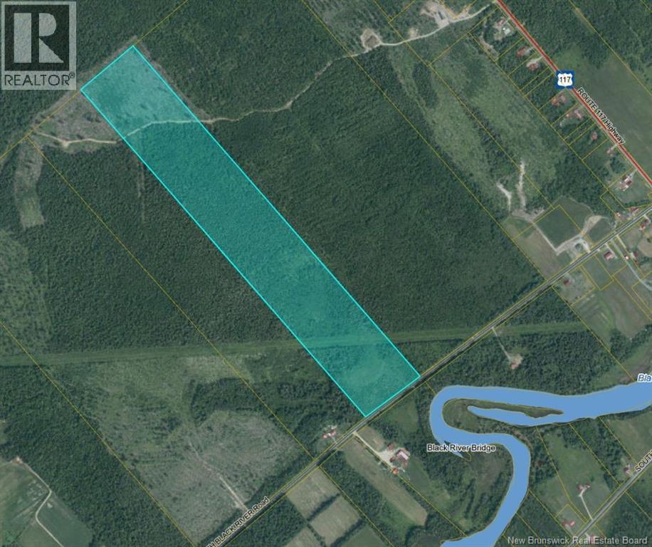 Woodland - NORTH BLACK RIVER RD Property Photo 1