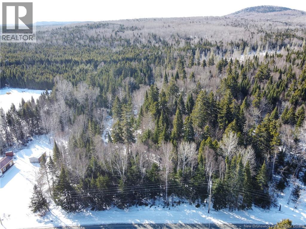 Lot 107 Route Property Photo 4
