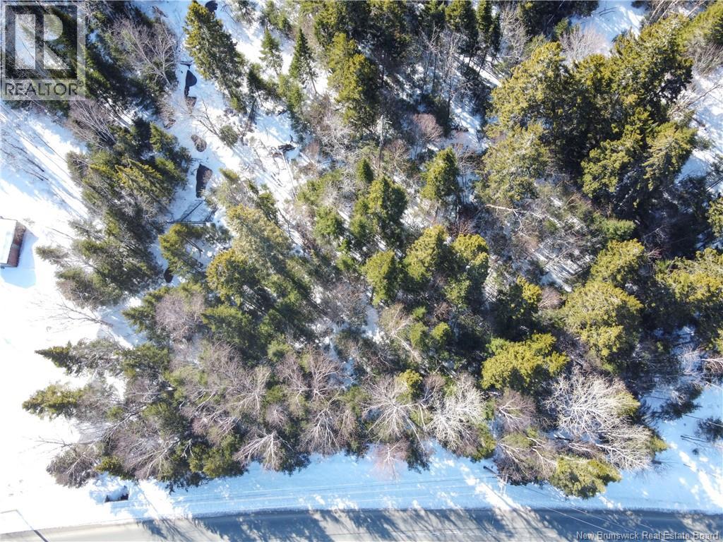 Lot 107 Route Property Photo 5