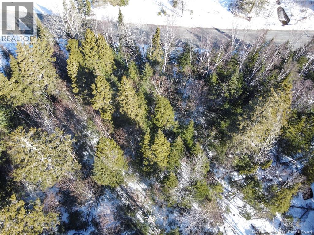 Lot 107 Route Property Photo 6