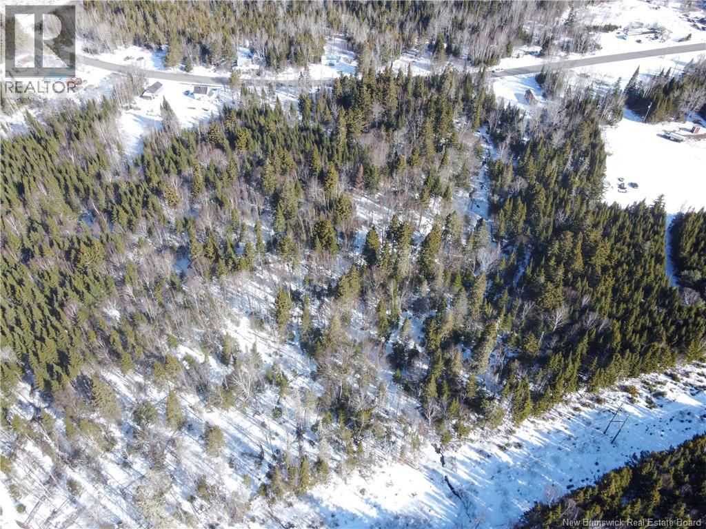 Lot 107 Route Property Photo 7
