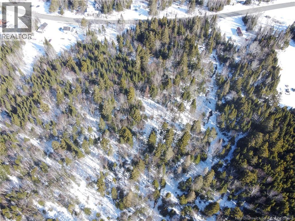 Lot 107 Route Property Photo 8
