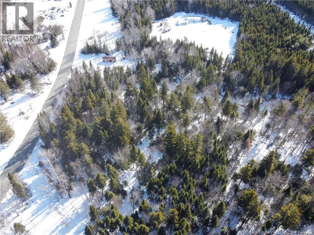 Lot 107 Route Property Photo 9
