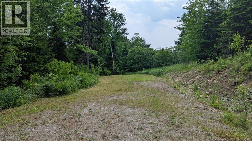 15 Foley Lane Property Photo 5