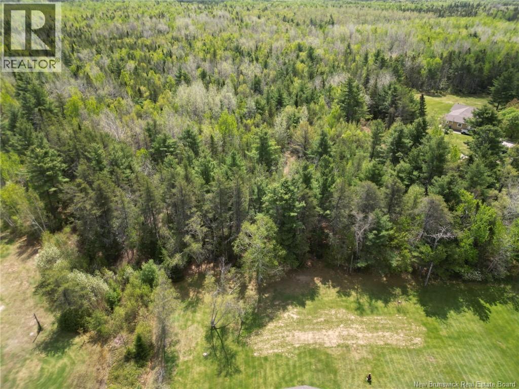Lot 97-1 Des Pins Property Photo 2