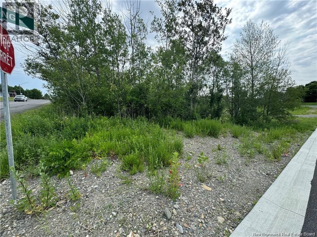 Evangeline Street Property Photo 3