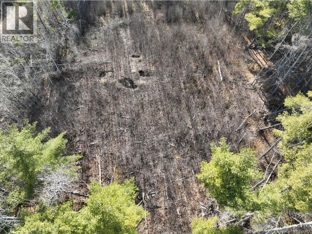 0 Route 740 Property Photo 2