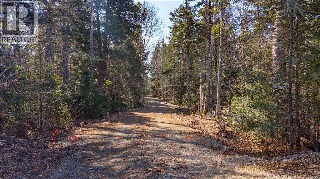 3008 Route 760 Property Photo 19