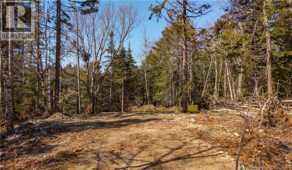 3008 Route 760 Property Photo 24