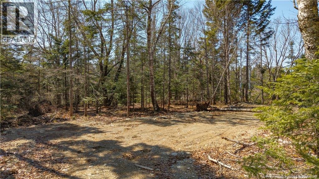 3008 Route 760 Property Photo 27