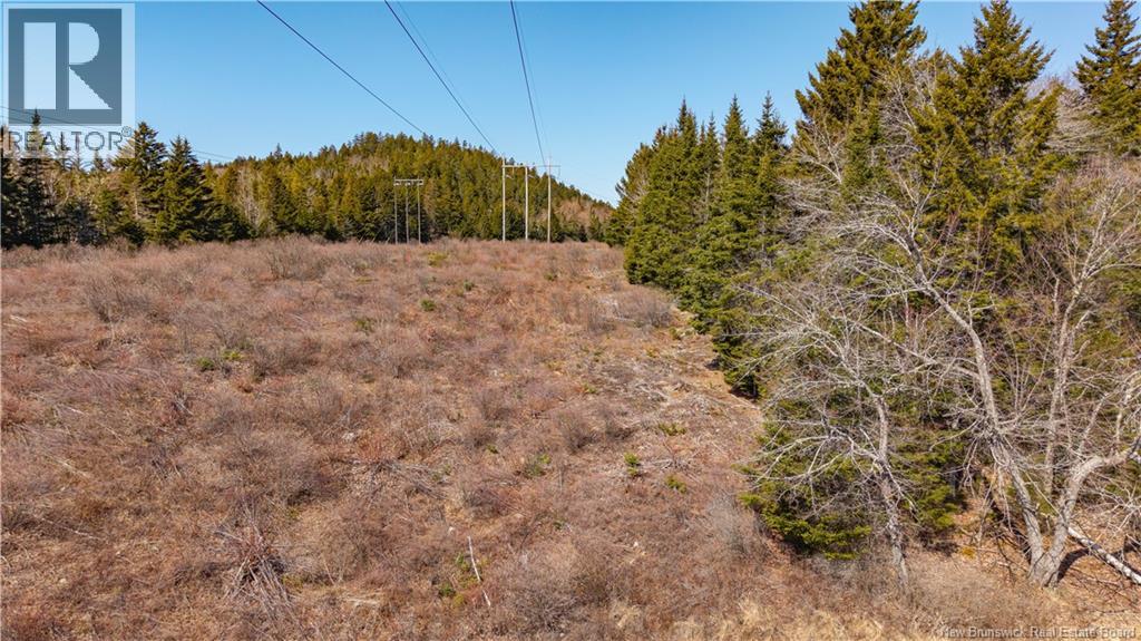 3008 Route 760 Property Photo 29