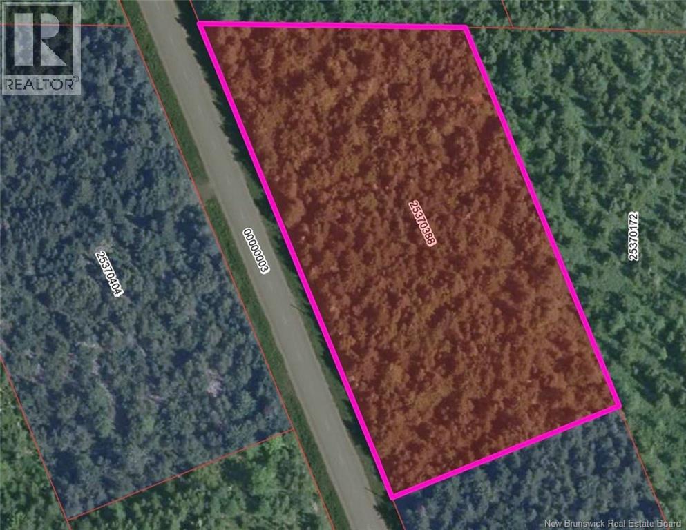 Lot 23 Route 495 Property Photo 4