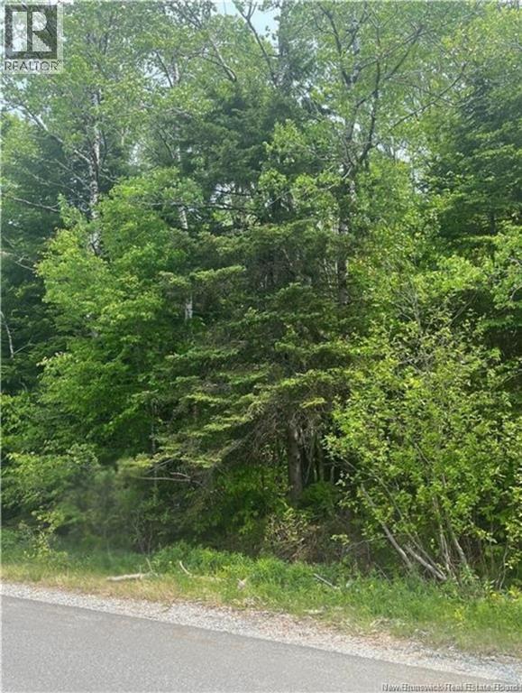 444 Bradley Lake Road Property Photo 1