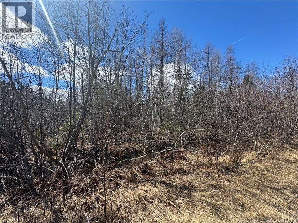 00 Dickson Road Property Photo 1