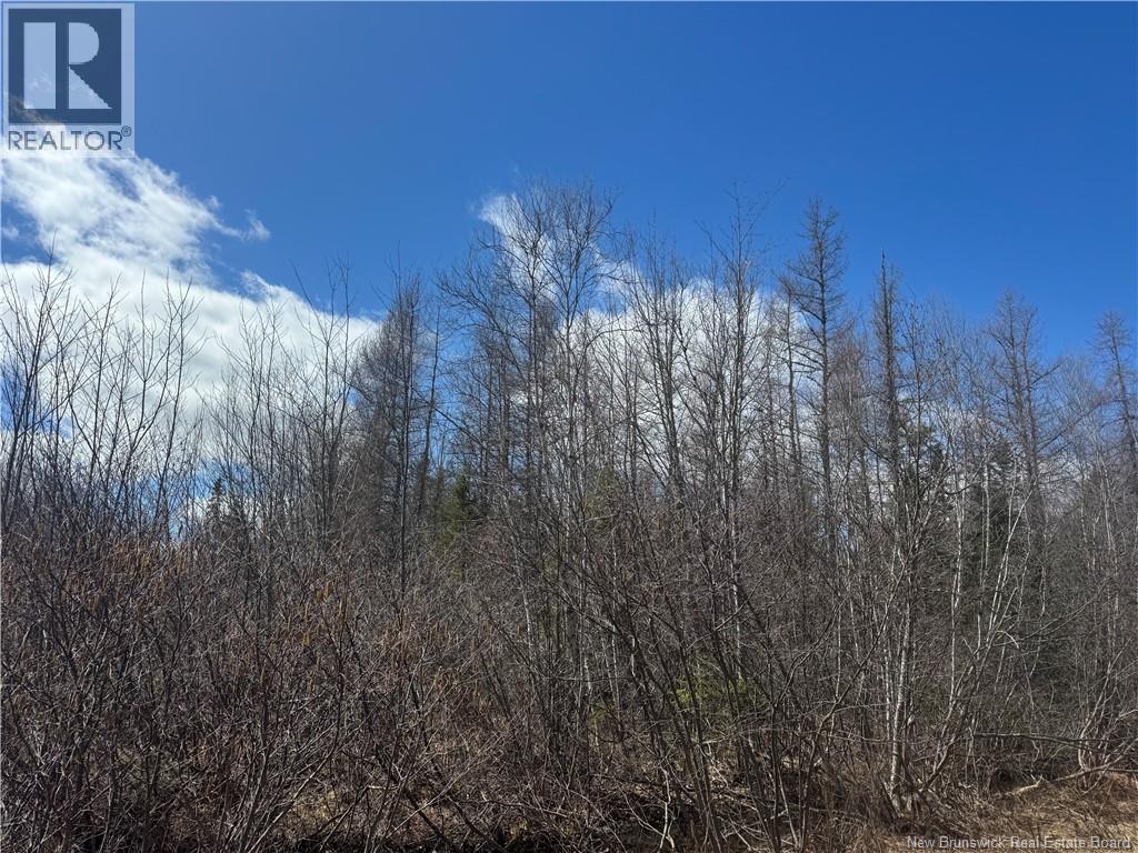 00 Dickson Road Property Photo 2
