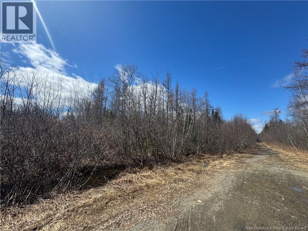 00 Dickson Road Property Photo 3