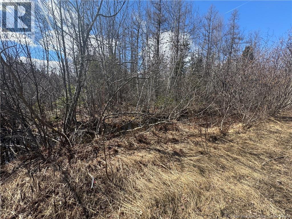 00 Dickson Road Property Photo 4