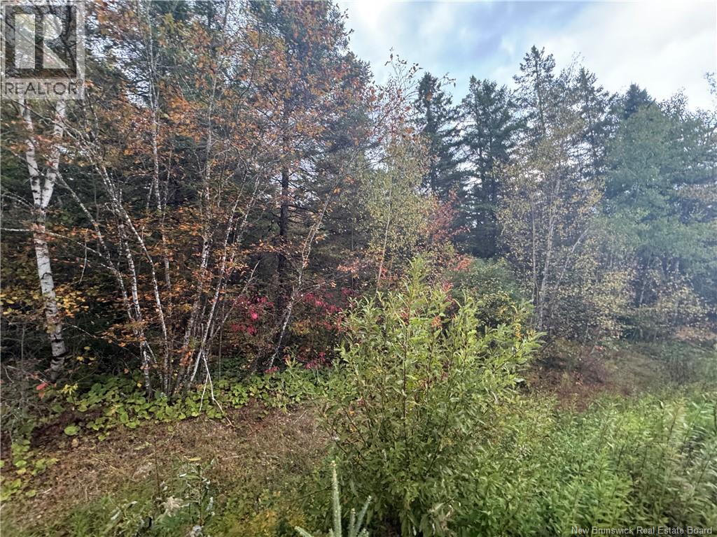 Salem Road Property Photo 3