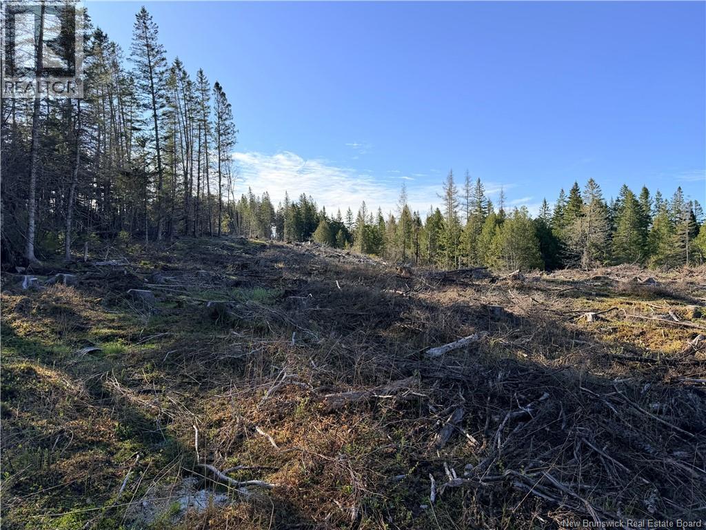 Lot C Smith Road Property Photo 5