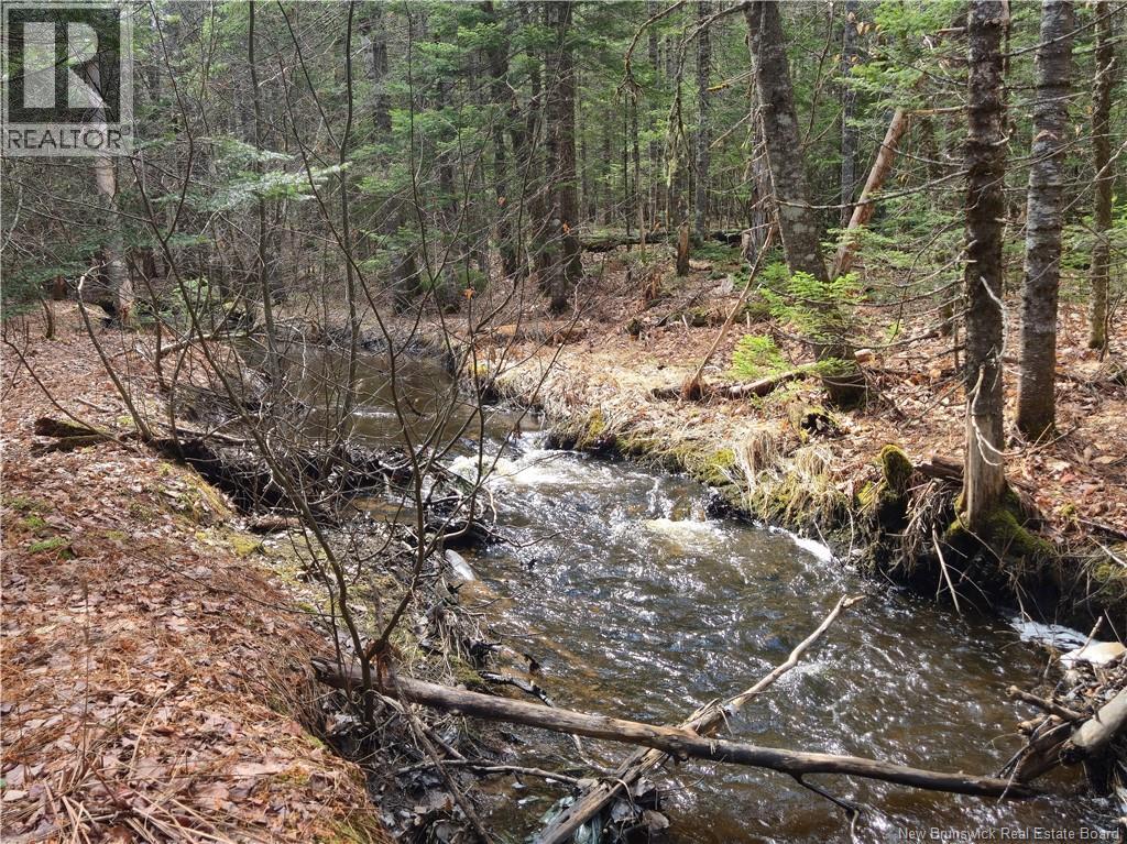 Lot 25-1 Niagara Road Property Photo 2