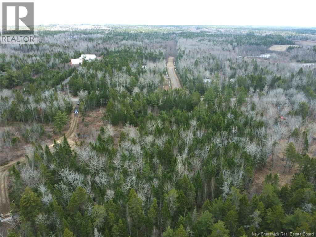 Lot 25-1 Niagara Road Property Photo 4