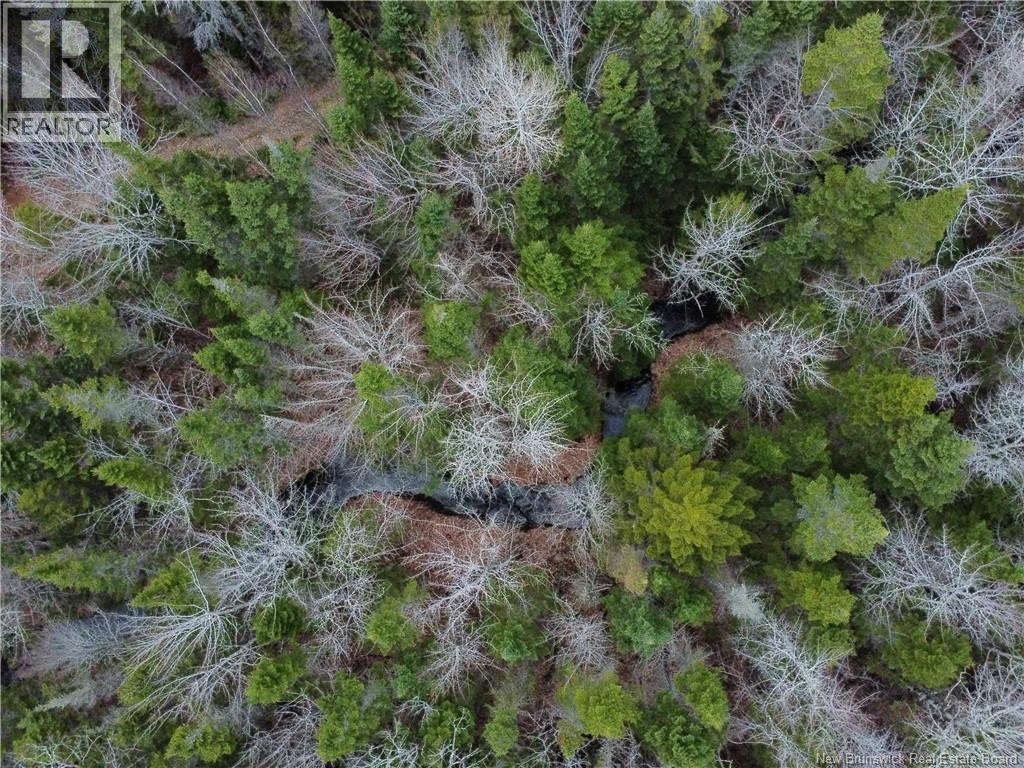 Lot 25-1 Niagara Road Property Photo 6