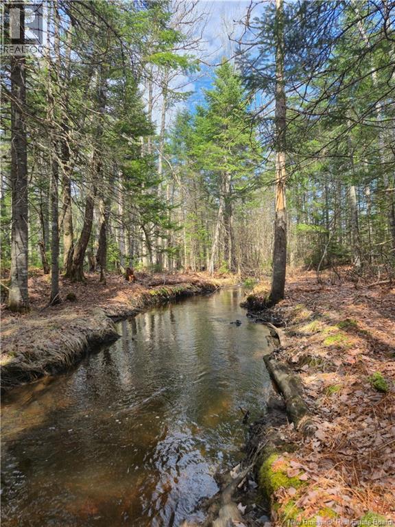 Lot 25-1 Niagara Road Property Photo 7