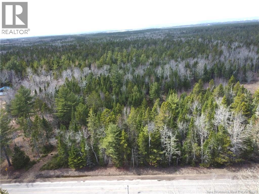 Lot 25-1 Niagara Road Property Photo 9