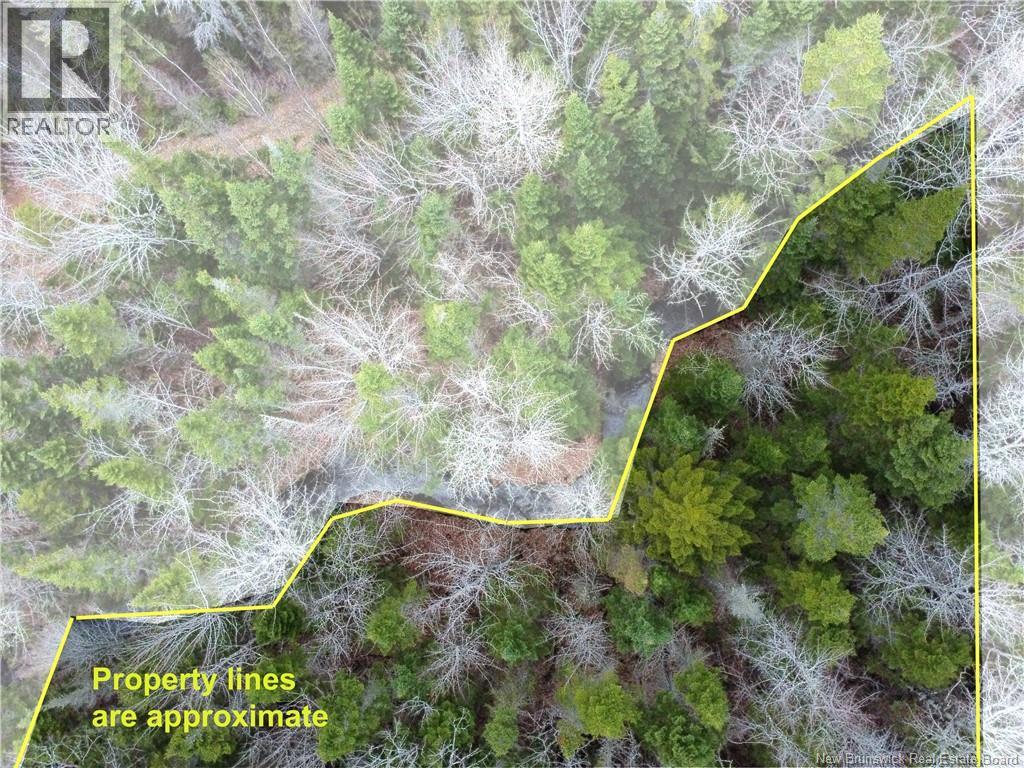 Lot 25-1 Niagara Road Property Photo 10