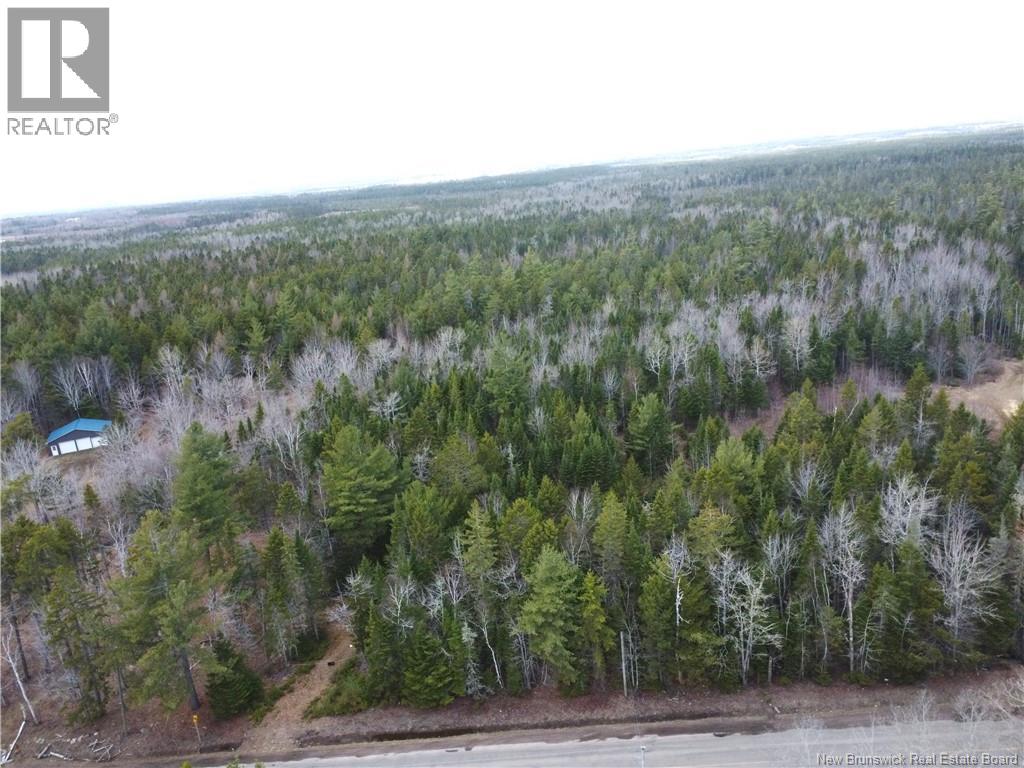 Lot 25-1 Niagara Road Property Photo 11