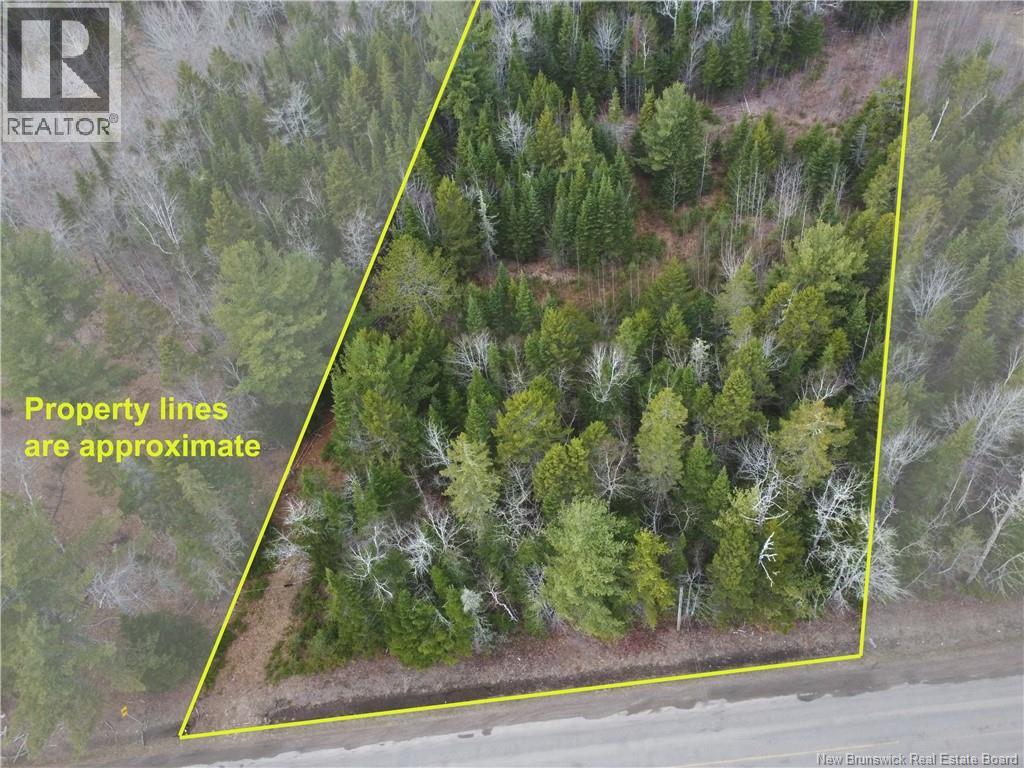 Lot 25-1 Niagara Road Property Photo 13