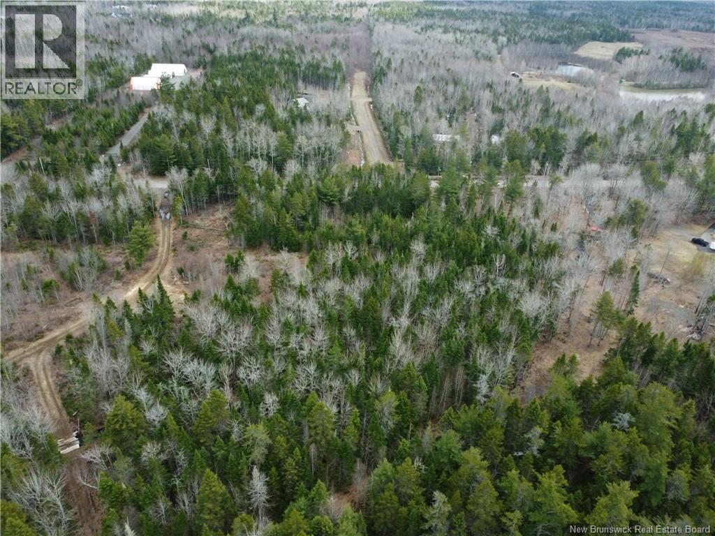 Lot 25-1 Niagara Road Property Photo 14