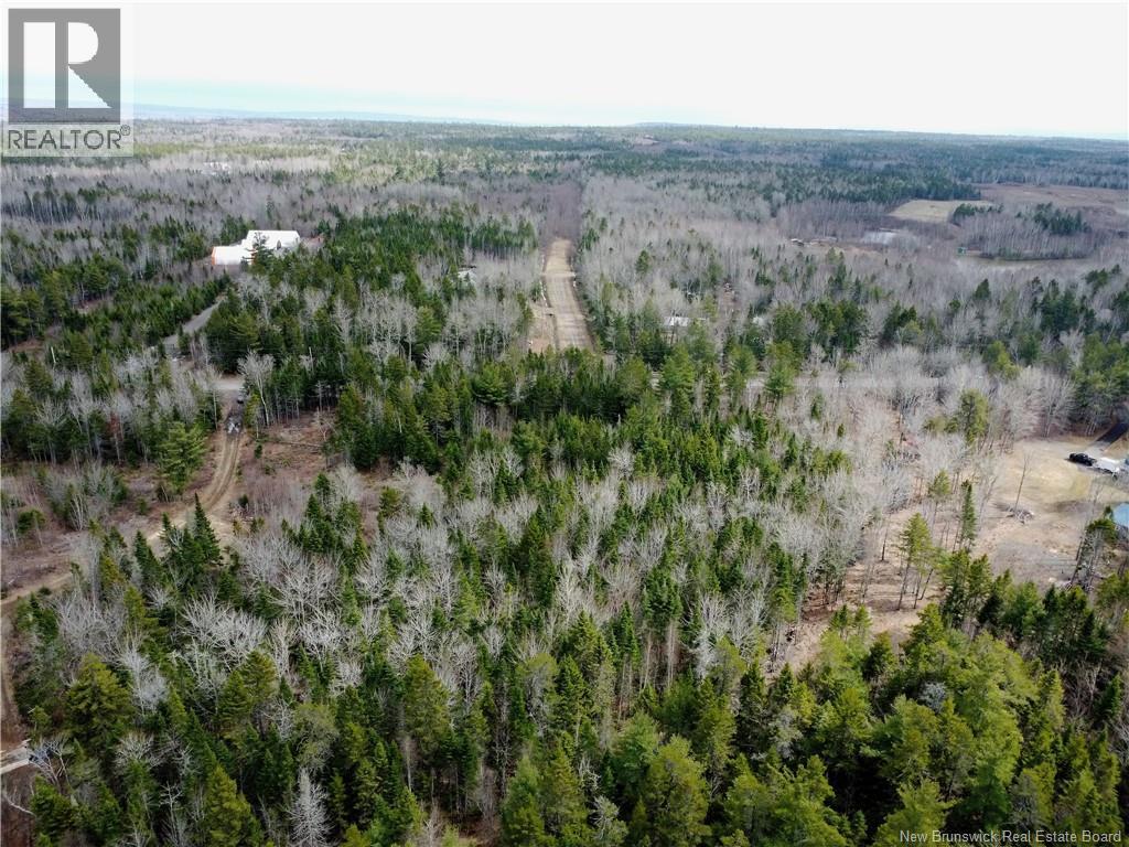 Lot 25-1 Niagara Road Property Photo 16